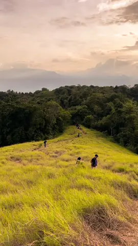 Pusing mau cari tempat nyore?  Nahh, ada nih tempat nyore yang cocok dan ngk kalah cantik dari bukit” lainnya yang ada di palu. Yaitu Savana Butiba dan Puncak BuuOge sangat cocok untuk menikmati Sunset dan panorama kota palu yang begitu indah,  tdk lupa juga dgn city light kota palu yang berkelap kelip, Siapa tau keliatan lampu kostnya  kamorang  yg ada di kota heheh.. 📍 Savanaa Buutiba & Puncak BuOge, Loru, Kec. Sigi Biromaru, Kab. Sigi #kotapalu #likesigi #likepalu #sulteng #bukit #palu #visitsulteng