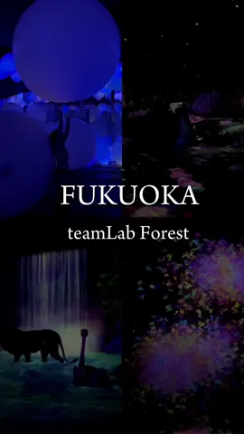 Teamlab Forest Fukuoka Japan 🇯🇵 #teamlabforest #fukuoka #kyushu #Tiktok #art #xuhuong 