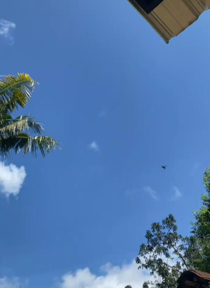 lagune sopo #masukberandafyp #trenggalek24jam #fyp #soundviral #soundfyp 