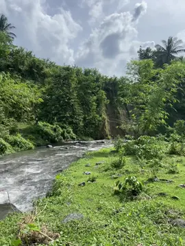 Nature heals🍃🍃