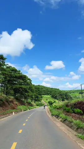Bảo Lộc góc nào đây ta ? 1 đoạn đường chill chill ở Bảo Lộc bạn đã đi qua chưa ? #baoloctrip #baoloc #reviewbaoloc #baoloccogi #dulichbaoloc #baolocchill 