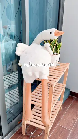 Ngỗng siu cute, ngỗng thú bông 130cm 😂 chân dài #thubong #thunhoibong #ngỗng #review #xuhuong #fyp #chichi2k 