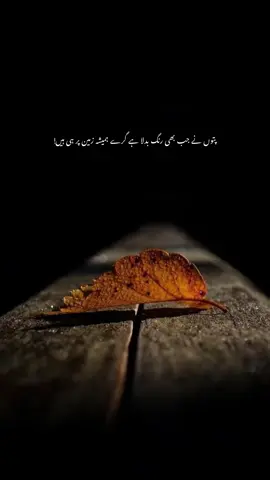 🙌🏻🫠🍂 #foryou #deepwords #urduquotes #trending #lines #fyppppppppppppppppppppppp #1millionauditon #sadpoetry #crew07 #unfreezemyacount #tiktokviral #aestheticvedio #duet @TikTok @TikTok Indonesia 