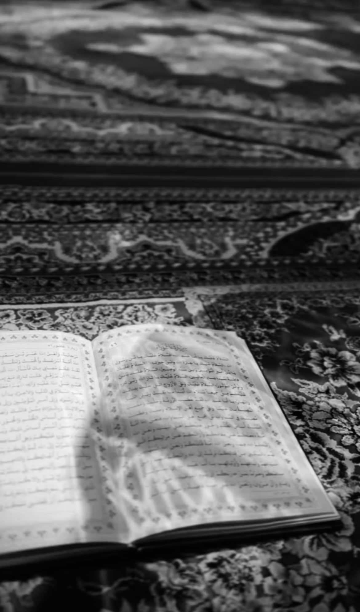 ⁨	وبالبَراءةِ ممَّن قاتَلك ونصب لكَ الحرب  ❤️ #اكسبلور_شيعة #اكسبلور #الامام_الحسين #مرقد_الإمام_الحسين_عليه_السلام #زيارات #زيارةعاشوراء #زيارة_عاشوراء #علي_فاني⁩