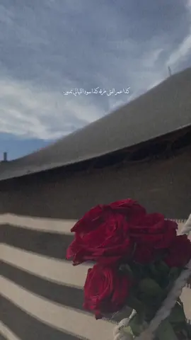 #ياصغير_لاتعذر_دامك_صغير_ترى_معذور #صعدوو_ءڪڪسبلور_للايڪ_متابعه #كمال_ال_بدر #مجرد________ذووووووق🎶🎵💞 #خيل_وخياله🐎 #الشعب_الصيني_ماله_حل😂😂 