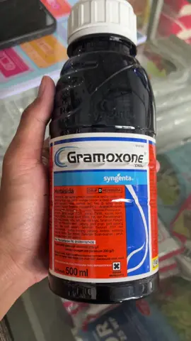 Herbisida Gramoxone (Parakuat diklorida 276 g/L) adalah herbisida kontak non selektif yang efektif untuk membasmi berbagai jenis gulma, termasuk gulma berdaun lebar, sempit, dan teki. Gramoxone bekerja dengan cara membunuh gulma secara langsung saat kontak dengan herbisida tersebut.  Manfaat Gramoxone: -Efektif membasmi berbagai jenis gulma: Gramoxone efektif dalam membasmi berbagai jenis gulma, baik berdaun lebar, sempit, maupun teki.  -Bekerja secara cepat: Gulma yang terkena Gramoxone akan mati dalam waktu singkat, biasanya dalam hitungan jam atau hari.  -Tidak terpengaruh hujan: Gramoxone tetap efektif meskipun terkena hujan, sehingga dapat diaplikasikan pada berbagai kondisi cuaca.  -Dapat digunakan untuk persiapan lahan: Gramoxone dapat digunakan untuk membersihkan lahan sebelum ditanami tanaman utama.  -Dapat digunakan untuk berbagai jenis tanaman: Gramoxone dapat digunakan di berbagai jenis tanaman, seperti jagung, padi, kakao, dan kelapa sawit.  Cara Pemakaian: -Campurkan Gramoxone dengan air: Campurkan Gramoxone dengan air sesuai dosis yang tertera pada kemasan. Sebagai contoh, beberapa petunjuk penggunaan menyebutkan untuk mencampurkan 2 tutup botol Gramoxone ke dalam 10 liter air. -Semprotkan ke gulma: Semprotkan larutan Gramoxone ke gulma yang ingin dibasmi. Pastikan kondisi cuaca baik: Hindari penyemprotan saat akan turun hujan.  Peringatan dan Catatan: -Mengenakan pakaian pelindung: Saat bekerja dengan Gramoxone, kenakan pakaian berlengan panjang, celana panjang, sarung tangan karet, pelindung wajah, sepatu boot karet, dan penutup kepala/topi. -Hindari kontak dengan kulit dan mata: Hindari kontak langsung dengan kulit dan mata saat menggunakan Gramoxone. -Simpan dengan aman: Simpan Gramoxone dalam wadah aslinya, tertutup rapat, di tempat sejuk, terkunci, di luar jangkauan anak-anak, jauh dari bahan makanan dan api. -Tidak korosif pada alumunium: Gramoxone korosif ringan pada alumunium, sehingga hindari mencampurkan atau menyimpannya dalam wadah atau alat yang terbuat dari alumunium. -Jangan mencemari air: Jangan biarkan Gramoxone atau wadah bekasnya mencemari air yang digunakan untuk irigasi atau keperluan domestik. #pertanian #petanimilenial #petanimuda #petaniindonesia🇮🇩🇮🇩🇮🇩🌿🌿 #ilmupadi🌾 #fypp 