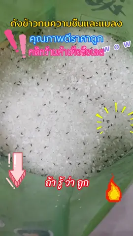 👉ป้องกันแมลง ป้องกันความชื้น ถังข้าวป้องกันหนูนา ความจุขนาดใหญ่พร้อมล้อ👍 🔍เปลือกโปร่งใสมีความประณีตและดูดี ตัวเลือกแรกสำหรับแม่บ้าน🙏❤️#tiktok #คอนโดกรุงเทพ #การยอมรับ #พับจีโมบาย #tiktokshop #ป้องกันแมลง