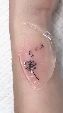 dandelion 🧚 #koreatattoo #finelinetattoo #tatuaje #seoultattoo #minitattoo #smalltattoo #추천 #타투 #タトゥー #fyp #tattooideas #tattoo 