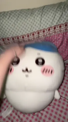 #hachiware #chiikawa #usagi 