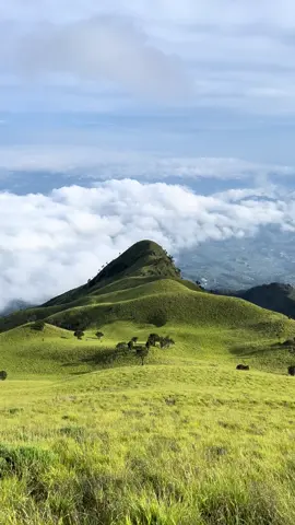 sabana merbabu😳