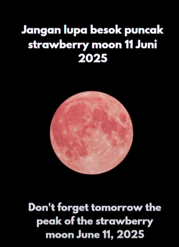 Fenomena Strawberry Moon atau Bulan Purnama Stroberi akan terjadi di Indonesia pada Selasa malam, 10 Juni 2025, dan mencapai puncaknya pada Rabu, 11 Juni 2025, sekitar pukul 03:45 EDT (sekitar pukul 14:45 WIB).   🍓 Apa Itu Strawberry Moon? Strawberry Moon adalah nama tradisional untuk bulan purnama di bulan Juni. Meski namanya mengandung kata 