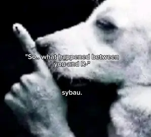 wrap it up🥀💔 #Meme #memetrend #luser #🥀💔 #sybau #sarangheo #sadmeme #jj #velocity #xybca 