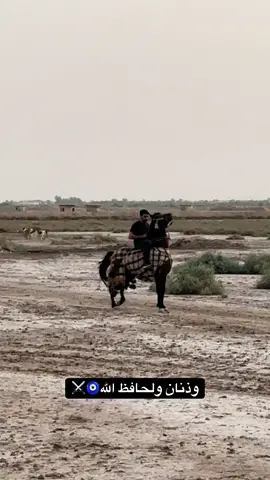 #الموسوية👑🇮🇶 #سيد #علي #وذنان🧿✈️🦅🔥 #وذنان_مهاوش #خيل_وخياله🐎🖤ماشاءالله_اللهم_بارك🧿♥️ #ميسان_العماره #خيل_وخياله🐎🖤ماشاءالله_اللهم_بارك🧿♥️ #العراق_السعوديه_الاردن_الخليج 