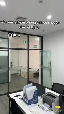 Sếp bảo là cần bàn gấp mà????#xuhuong #dilamcogivui 