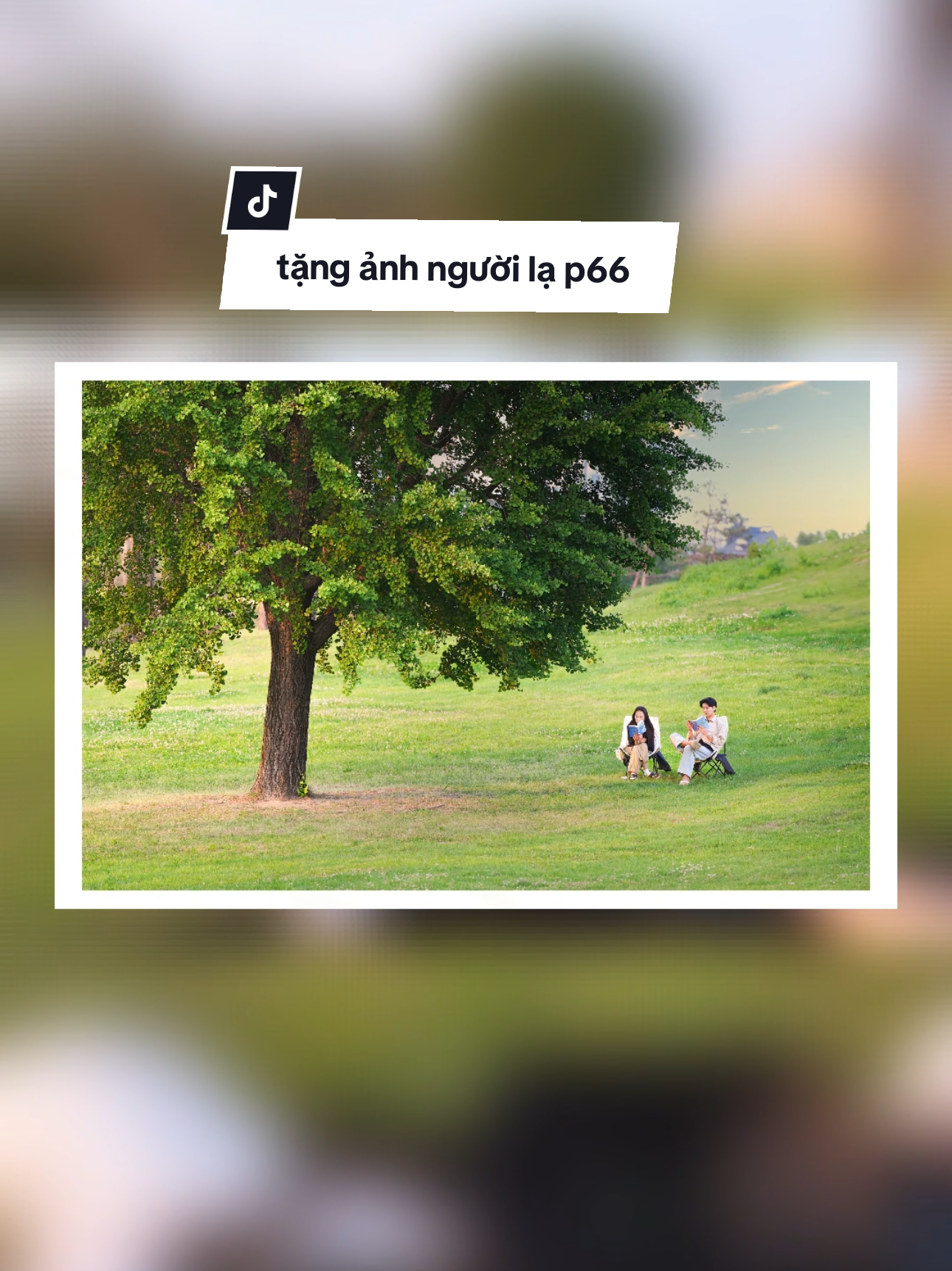 tặng ảnh đôi bạn đang ngồi đọc sách #xuhuong #tanganhnguoila #hanquoc #duongg_foto #viral #chupanh 