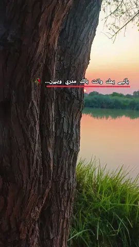 #تصويري_احترافي_الاجواء👌🏻🕊😴 #الريف #حزين #غروب_الشمس #عبارات 