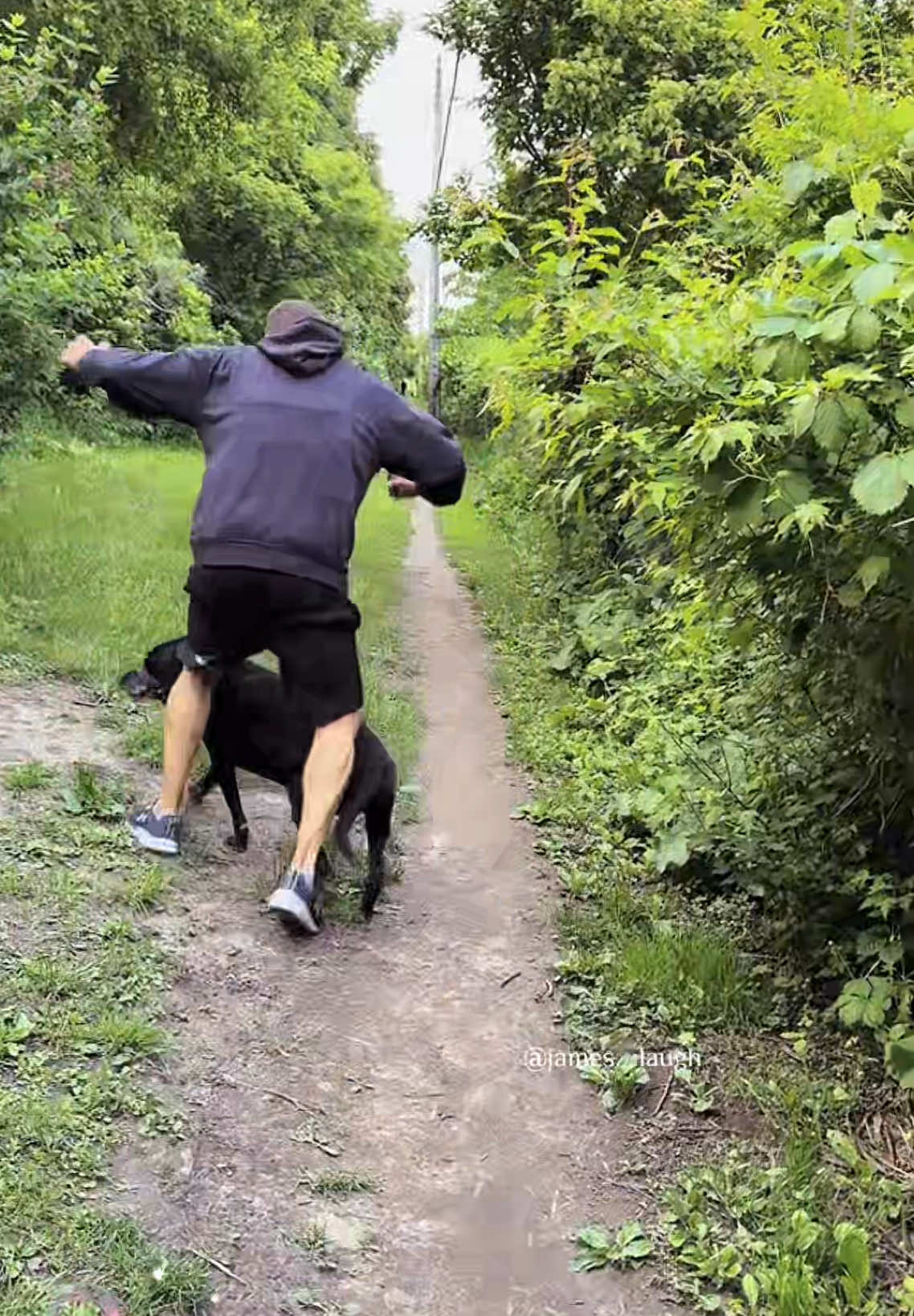 The end 😂#fun #funnyvideo #funnymoments #fail #failarmy #fails #laugh #foryoupage #