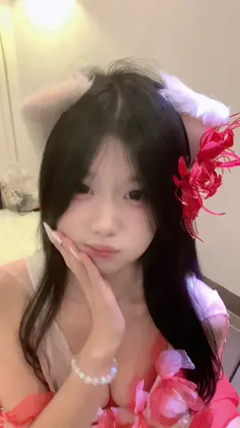 ⚠️‼️ mèo dữ 