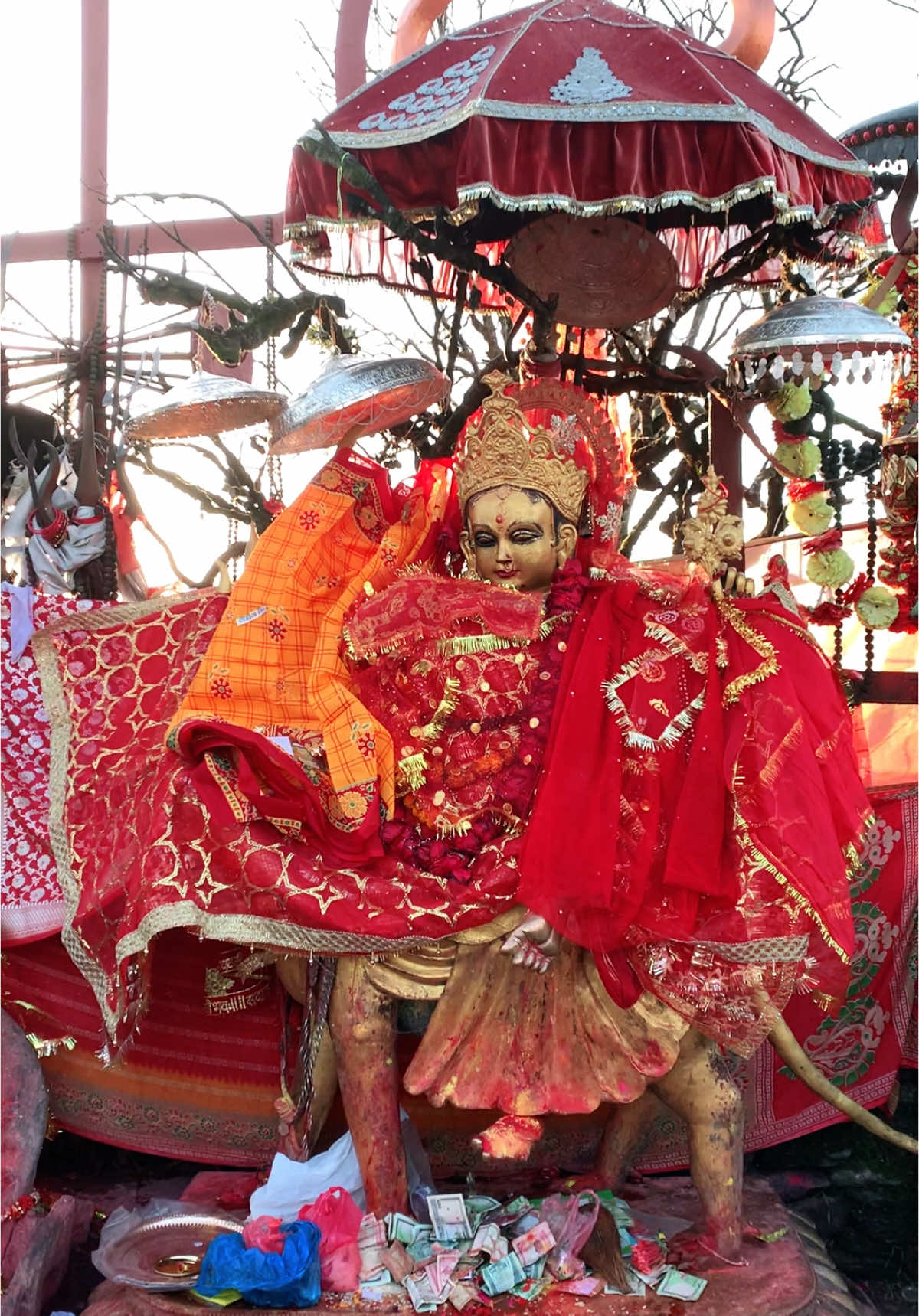 उहाँसँगको सम्बन्ध शब्दमा व्यक्त गर्न सक्दिन 💗 #taplejungpathivara #pathivaraaama #aamakomaya #pathivaramata #aamakoaasirbad #grateful #blessed #pathivaradevi #nepalitiktok #nepalicontentcreator 