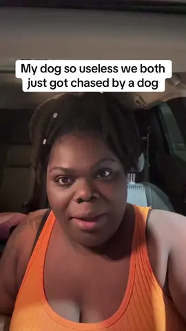 These dogs are too spoiled 🤣 #dogsoftiktok #PetsOfTikTok #realronsina #gentleparenting 