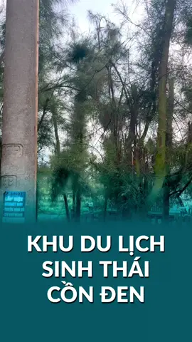 CHỈ 1TR5 CHO 2 NGÀY 1 ĐÊM TRẢI NGHIỆM CẢ RỪNG VÀ BIỂN SIÊU CHILL GẦN NGAY HÀ NỘI Bạn đã bao giờ: - Dạo bước trên cây cầu tre dài nhất Việt Nam xuyên qua rừng ngập mặn? - Ngồi thuyền men theo những lạch nước, ngắm chim trời sải cánh trên đầu? - Hay đơn giản là thả mình giữa biển vô cực, nơi trời và nước như hòa làm một? Nếu chưa, bạn nhất định phải thử Cồn Đen, và chúng tôi có tour trọn gói chỉ với 1.500.000đ/người! Vì sao bạn sẽ 