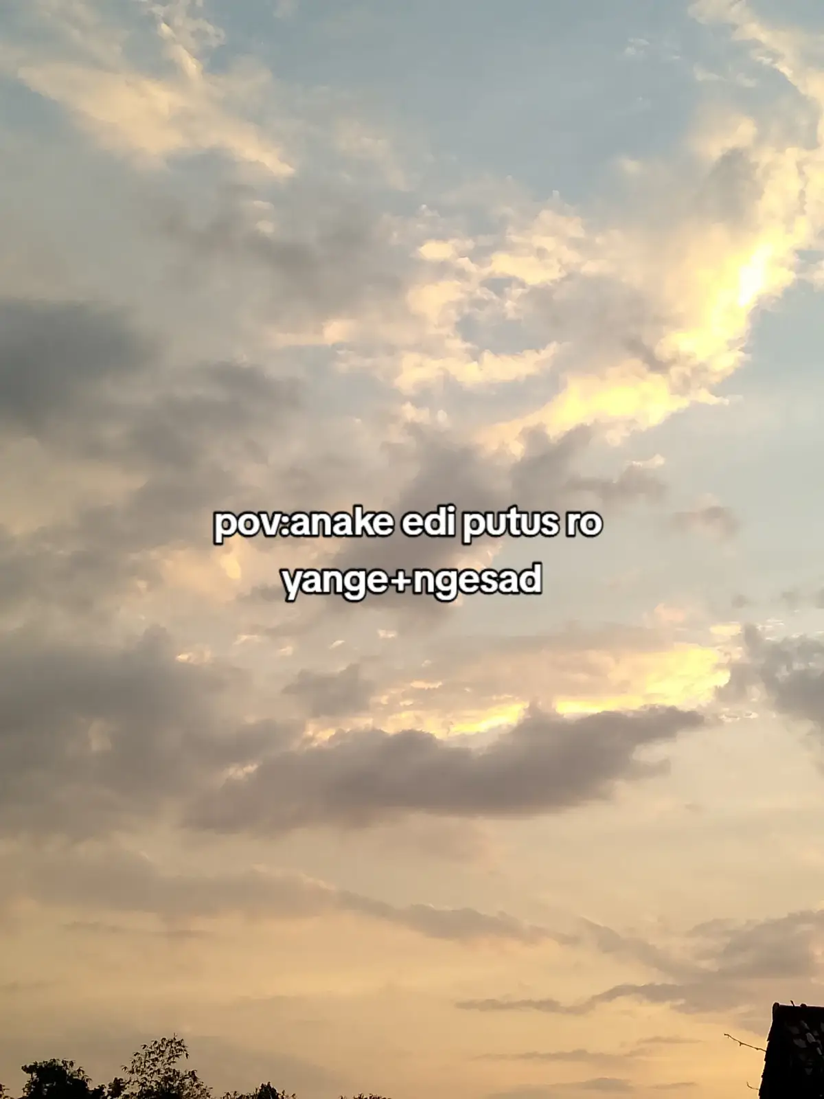 tag ae#fypp#pov