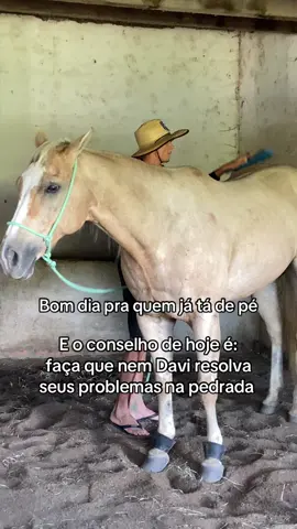 Bom dia viu 😂 #foryoupage #cavalo #bomdia #fy 