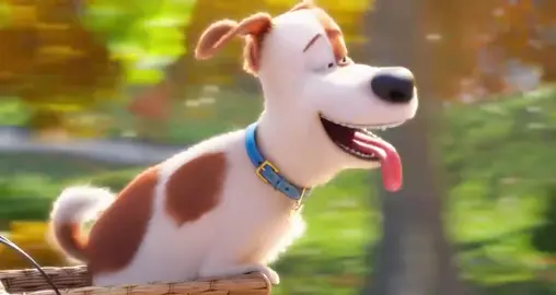 Full Movie The Secret Life Of Pets 2016 #60minute 