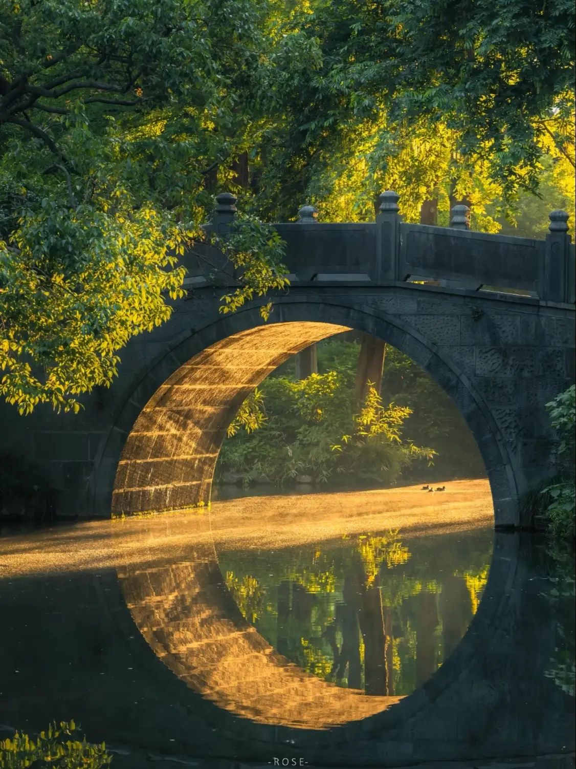 🧚‍♂️Ánh sáng vàng Quyên Phong Hòa  #dulichtrungquoc #trungquocdailuc🇨🇳🇨🇳🇨🇳 #china #travel #canhdep #thiennhien #viral #chill #pageforyou #fyp