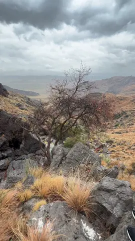 Watan #balochista #khuzdar_balochistan #zehri#balochistan#bolan #bolangsibolang #mountainsofbalochistan 