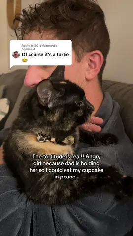 Replying to @2016abarnard #tortie #tortietude #tortiecat #catsoftiktok #cats #catmom #catlover #cattok #tortoiseshellcat 