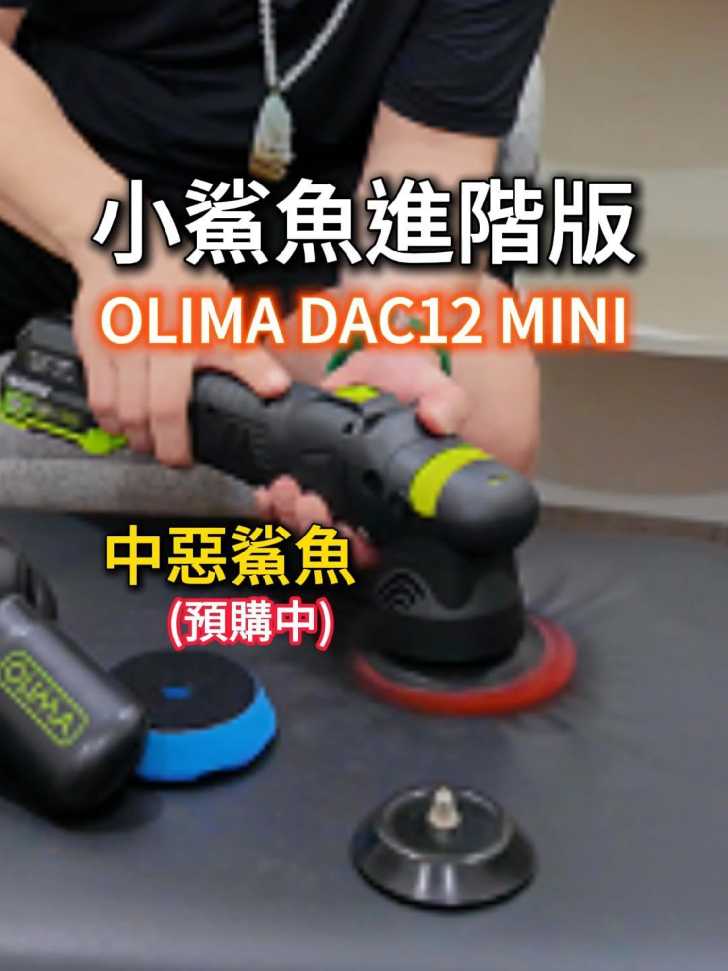 小鯊魚進階版