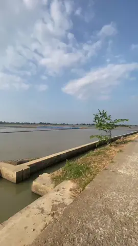 #aigditxz🥊 #sonicditxz #fypdong #sonicthehedgehog #sonicgarasax⚡ 