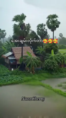 #တောဘဝတော့ရဲ့အလှက်ိုသဘောကြတယ်ဆို #မူရင်းvideoပိုင်ရှင်အားcrdပေးပါတယ်🥰 #မင်းတို့ပေးမှ❤ရမဲ့သူပါကွာ #foryou #fypage #foryoupage #fyp  #fypシ #fyptiktok #tiktokmyanmar  #ရောက်စမ်းfypပေါ်  @🌻🌺 Zin lay 🌻🌺 @မဟေသီ @🌊Ko💫Tun⚡🎸 @🍒🍒 Nann Cherry 🍒🍒 @🍒🍒 Nann Cherry 🍒🍒 @🍒🍒 Nann Cherry 🍒🍒 
