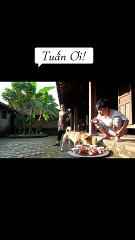 Sao mãi là Tuấn thế #annhienmusic #ninhbinh #vo3 