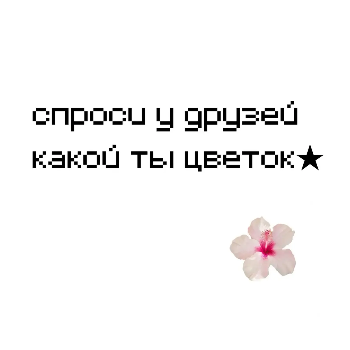 #роза #одуванчик #лотос #цикорий #тюльпаны #черемуха #сирень #паучьялилия #подсолнух #пион #подснежник #гвоздики #одуванчик #ирис #flowers 