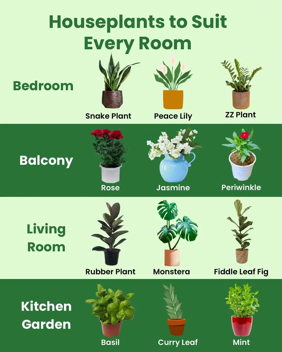 There’s a plant for every corner and a vibe for every room 🌱 #plants #homedecor #plantlovers #homestyle #houseplants #indoorplants #fyp #fypage  #fyppppppppppppppppppppppp 