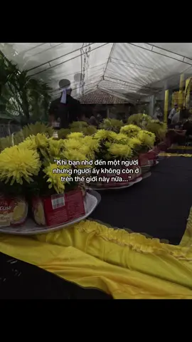 🕊️
