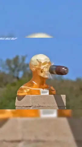 What caliber ?? 😳😳💥😵#scienceexperiments #slowmotion #physics #fyp 