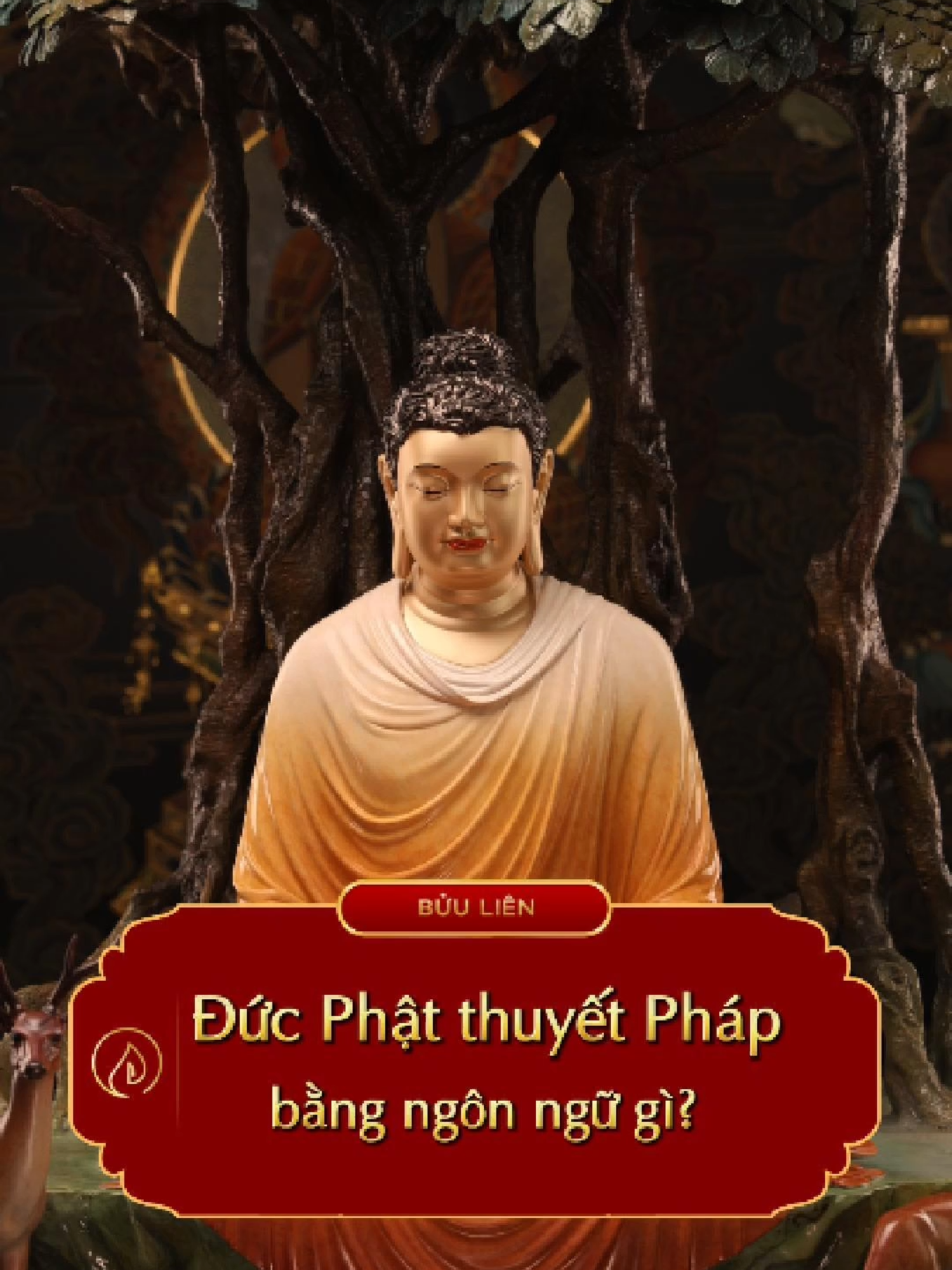 Đức Phật thuyết pháp bằng tiếng gì? Tiếng Phạn? Tiếng Pali? Hay ngôn ngữ cổ Ma Kiệt Đà? Câu hỏi tưởng như học thuật nhưng lại khiến bao thế hệ tranh luận không dứt. Và sau video này, biết đâu bạn sẽ nhận ra... mình cũng đã từng nghe thấy Phật Âm Vi Diệu. #BuuLien #DiSanKhongGianPhatGiao #PhatAmViDieu #ChamDenTamHon #NgheThuatTamLinh