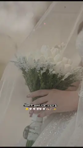 #🤍 #وهيكااا🙂🌸 #تصميم_فيديوهات🎶🎤🎬 #فديويهات_من_تصميمي #مالي_خلق_احط_هاشتاقات #تصميمي #ستوريات #خطيبي #حب #حالات_واتس #اكسبلور #عاروس#انا_العاروس#مافيني_حيل_احط_هاشتاقات #fyppppppppppppppppppppppp 