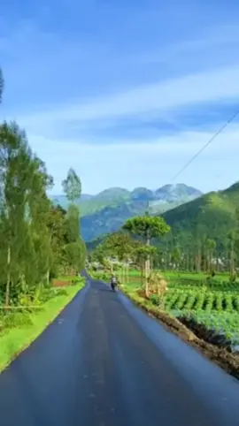 HILIRISASI TAIK KUCING @Liem njuk kian Inggit Garnasih @anikronayu @DPP Bintang Perubahan💫🇮🇩  @edo.z.s @tristan21 @aguscik099 @CHOCCONUTS @Dv @Landland store @natasyacantik77 @nurodin nurodin535 @Syamsul Bahri @wanitatangguh01 @winar @@rossabohay0872 @ᗰY ᑕOᗰ ՏOOᑎ @달콤한 여인사수자리 ♐🔥 @trias @thalita @siskatanjung950 @Senopati Mataram @selalu terblokir @reza saputra😘 @pedjuangjoken @NASUTION GADING @nabilfaza @Monang Sijabat @liecellin @kanjeng momy @KANG DUDA MERANA (KDM) @#oposisijingga101  #oposisibersatu101  #pembasmitermul  #oposisibersatu #viraltiktok #viralkan #liemjukkiangarnasih #fyp #viralvideo #fyppppppppppppppppppppppp #perubahan 