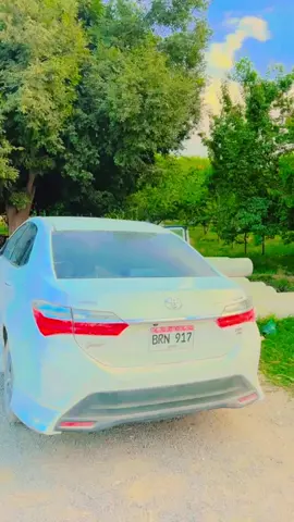 #D_B_♥️N_J #tiktok #champions #fam #foryou #2025 #imrankhan #views #trending #illu #CapCut #rcb #viral #✌🏻 