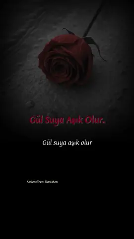 #keşfet #dostmenşiirleri #keşfetteyiz #keşfetbeni #keşfettrend #trending #viralvideo #fypシ #tiktoktrend #gülvesuyunhikayesi 