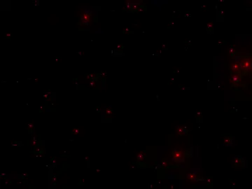 ممكن عادة النشر الفيديواحبكم😊 #عباراتكم #اقتباسات #حبيبتي #احبك#حبيبي #عادت_نشر🔁 #اكسبلور #اغاني_مسرعه💥 #زيونيfm 