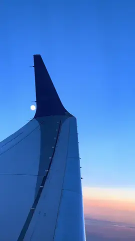 Mother moon 🌚 #moon #airplane #sunset #sky 