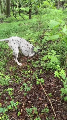 #dudesupportingdudes #dadssupportingdads #dad #MentalHealth #menshealth #menshealth #life #life #motivational #ranchero #menshealth #christ #