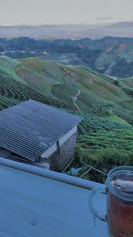 mungkin orang lain cmn liat hasilnya tanpa melihat efort nya  leuwimunding-panyaweuyan solat subuh,04.40 start drrmh,04.53 jatiwangi,05.15 cigasong,05.30 terminal maja,05.50 sampe panyaweuyan solo raiding.tp semua terbayar dgn sejuknya, dan indahnya pemandang yg sesuai exspetasi sy #pypppppppppppppppppppppppppppppp #panyaweuyanmajalengka #majalengkapride🏴‍☠️ 