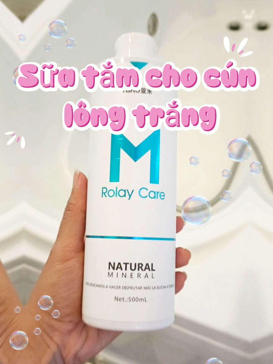 Sữa tắm này giúp giữ cho bộ lông các bé luôn trắng sáng. #reviewdocho  #xabongcho #suatamchocon #petcarevn #cuocsongthucung #dogproductreview  #pettiktokvn #thucungdangyeu #tiktokthucung #petreviewvn #dochochocon #petproductvn #suatamcholongtrang  #suatamchomeo @Beo Mukbang 