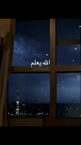 #قرآن_كريم #قطط 